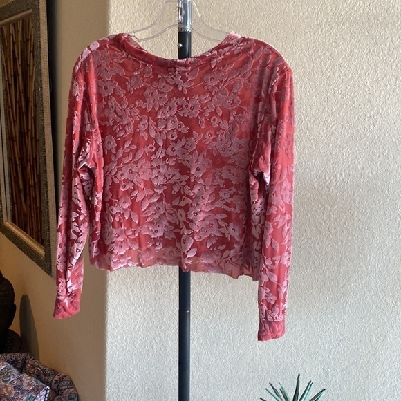 Agnes and Dora/ Blush Velvet Floral Sheer Crop Top - Picture 5 of 5